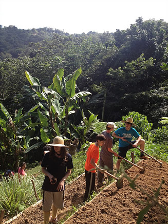 Camp Tabonuco participants in an
agroecological workshop